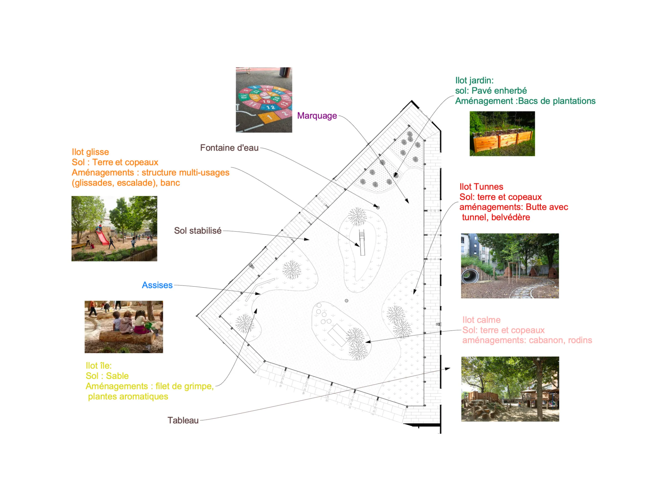 Plan de végétation de la cour oasis
